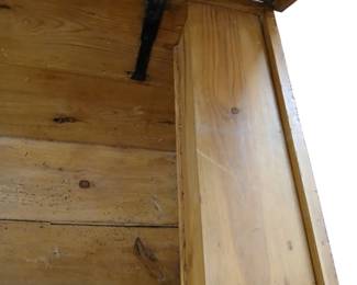 Primitive Pine trunk
