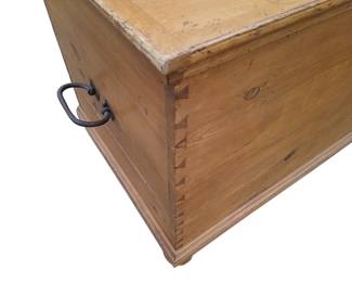 Primitive Pine trunk