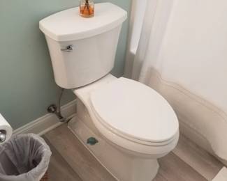Updated toilet