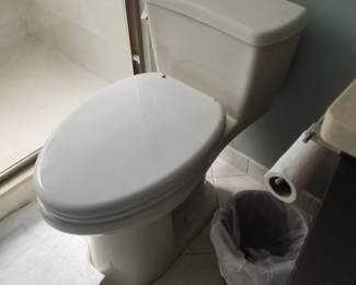 Toilet with TUSHY bidet
