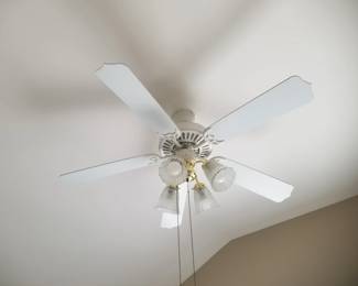 Lighted ceiling fan