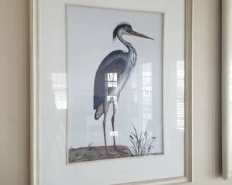 Framed shore bird art