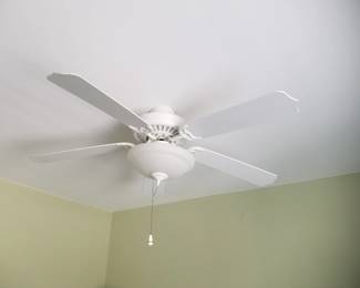 Lighted ceiling fan