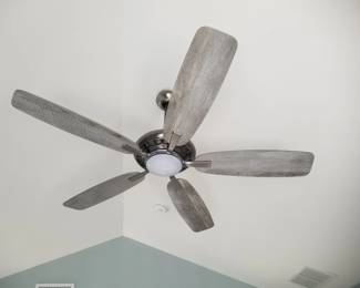 Lighted ceiling fan