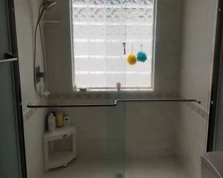Glass shower doors
