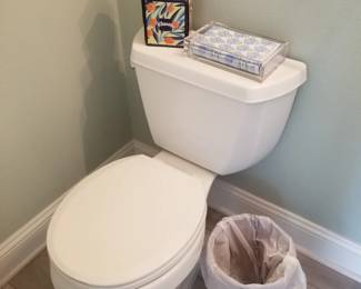 Kohler toilet