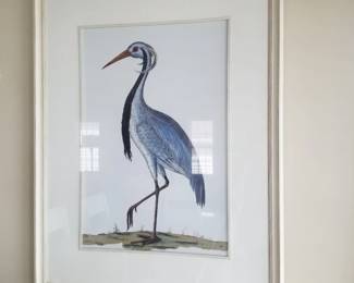 Framed shore bird art