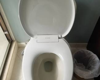 Tushy bidet