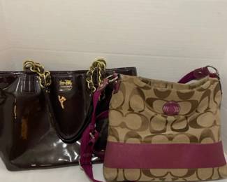 Purple Coach Bags