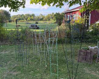 Outside: trellis 