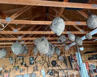 Garage: hives
