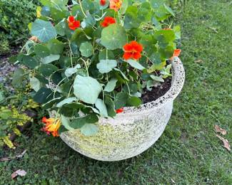 Outside: planter