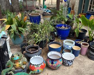 Look at our POTS!!!!!! and a few plants