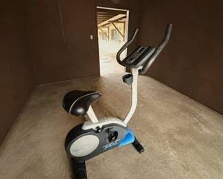 Exercise bicycle