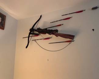 Modern Recreational Crossbow with Scope
