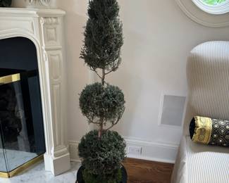 Pr. Topiary in Black Base