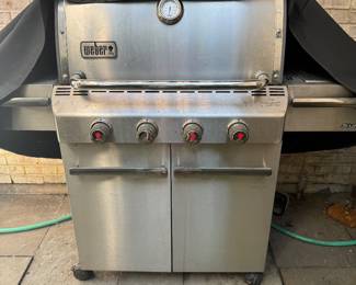 Weber genesis 