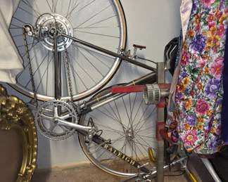 Raleigh Aluminum Bike