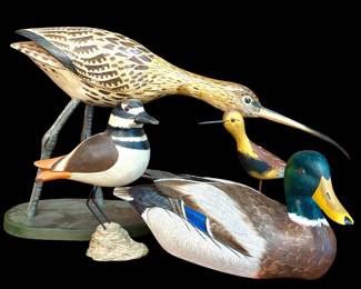 a Collection of Hand Carved Decoys & Shorebirds