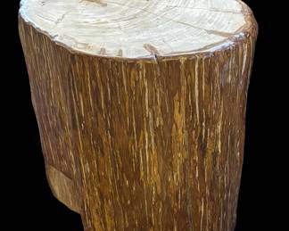Petrified Wood Side Table