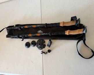 Cascade Mountain Tech walking stick $30