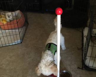 Water/food dog bowls for those w/ difficulty reaching bowls on floor.