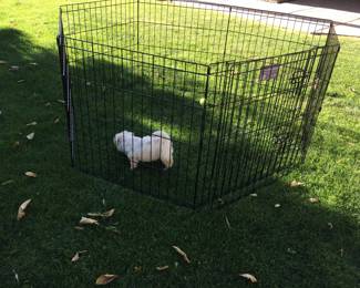 Ex-Pen (exercise pen)