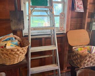 Werner 6ft Ladder