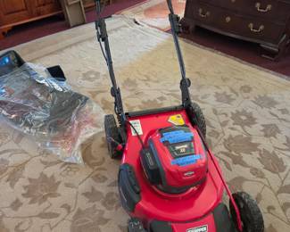 Snapper XD battery powered PUSH mower, used 1 season, 2 lithium batteries, charger, rear bagger & mulcher