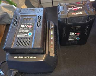 2 lithium batteries & 1 charger