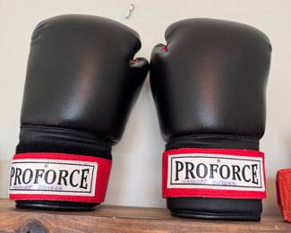 Pro force boxing gloves