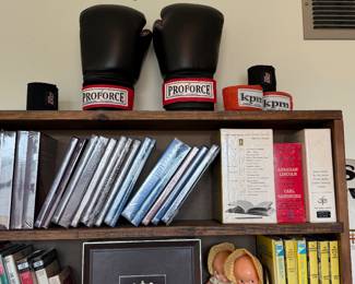ProForce Martial Arts Boxing / Sparring Gloves