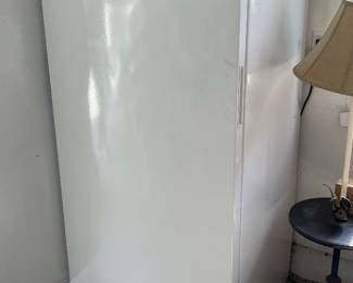 Standing Freezer