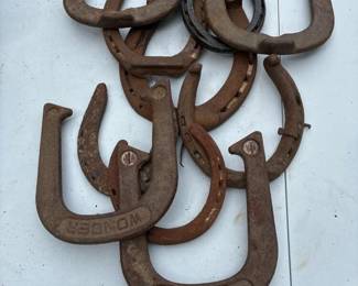 312 vintagehorseshoesandwonderpitchingh