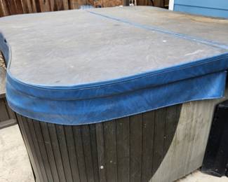 Hot Tub - It runs and is in good condition.