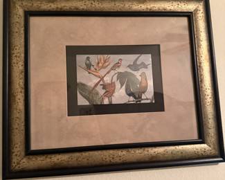Tropical birds print with bird of paradise flower in matted frame