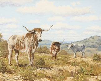 Robert Harrison, Longhorn Cattle