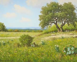 Don Warren, Hill Country Landscape