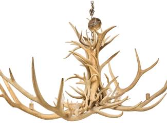 Elk Antler Chandelier