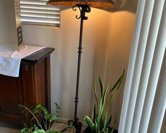 Plants Need Light.