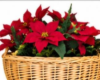 Wicker basket with holiday artificial greenery.