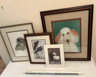 Bird Art and a Poodle
