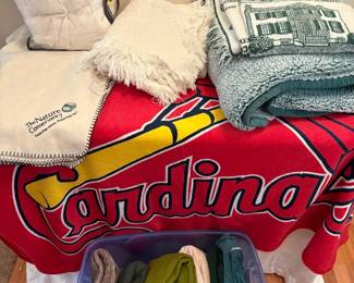 Blanket Mystery Lot