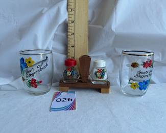 Souvenir Salt Pepper Shaker Condiment Caddy Set