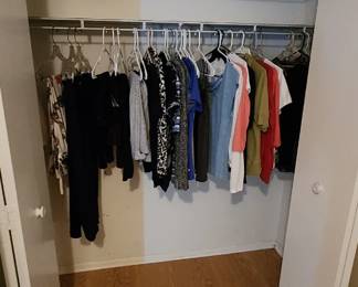 Womens medium t shirts
