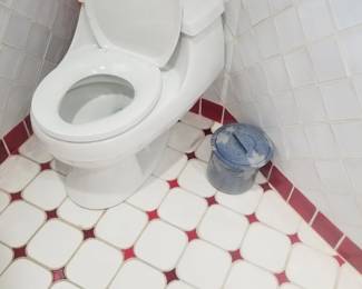 Kohler San Raphael commode
