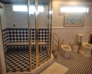 Glass shower surround; bidet & toilet