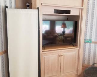 Built-in cabinetry; TV