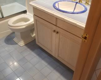 Custome bath vanity; toilet