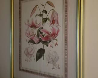 Botanical art